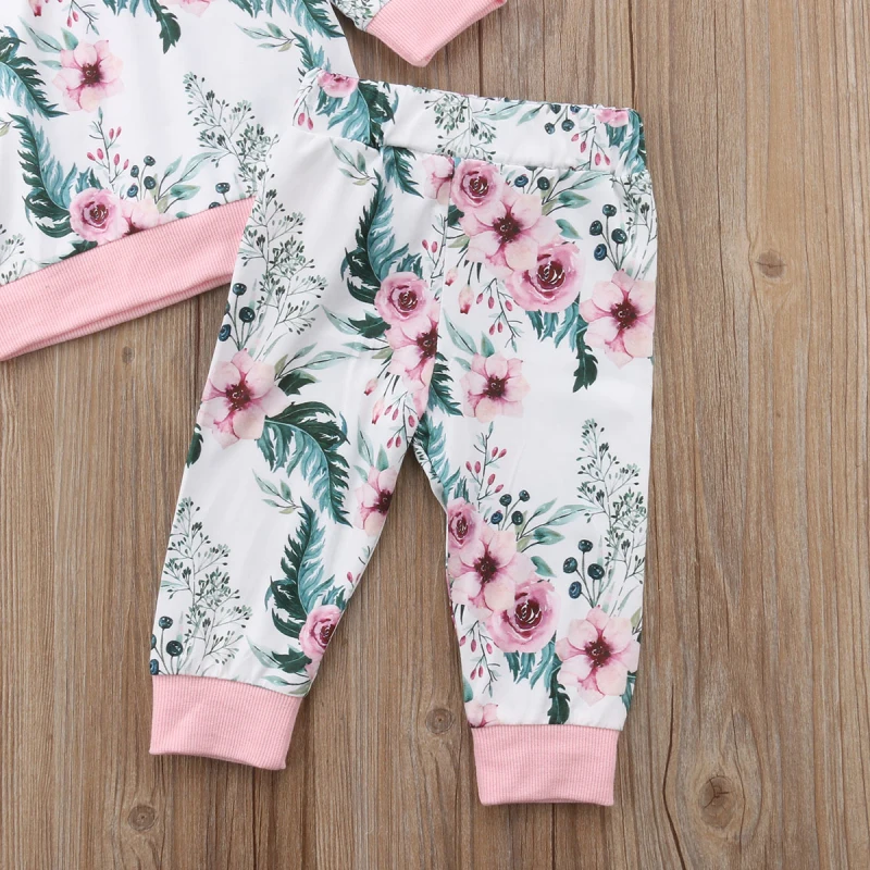 Two Piece Set Outfits Newborn Toddler Girl Clothes Long Sleeve Cotton Printed Floral Baby Girl Clothes Set Hoodie Tops+Pant