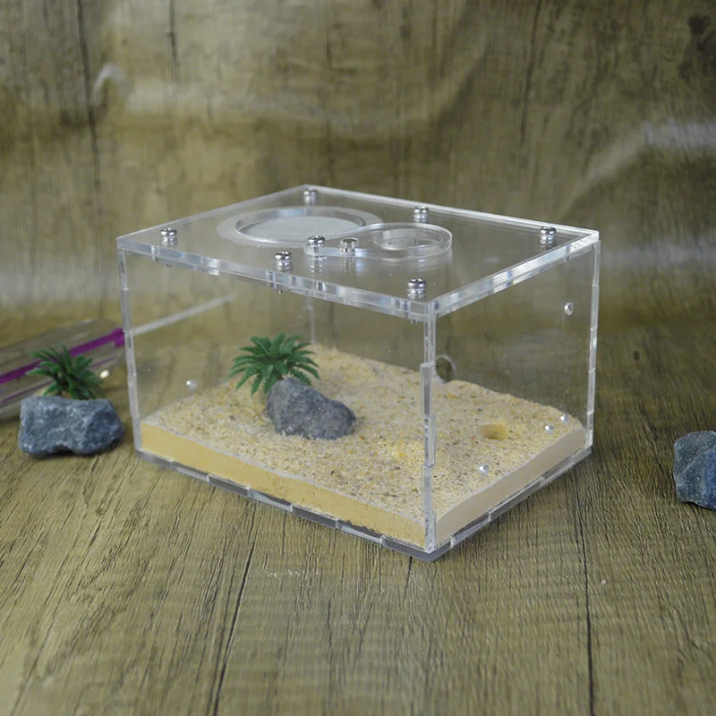 Имитирующий оригинальный экологический бетонный муравей гнездо питомца