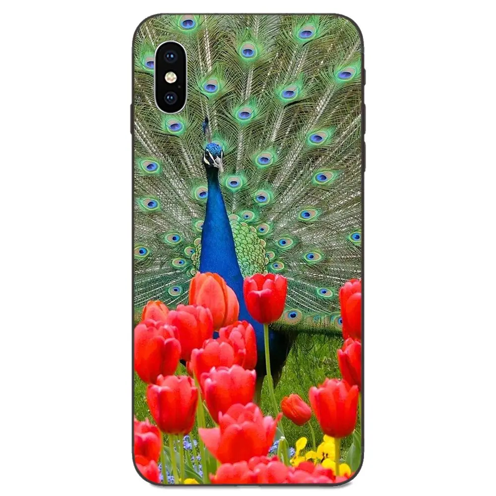 Красивый павлин пейзаж чехол для телефона из мягкого ТПУ с рисунком Капа Galaxy A3 A5 A6