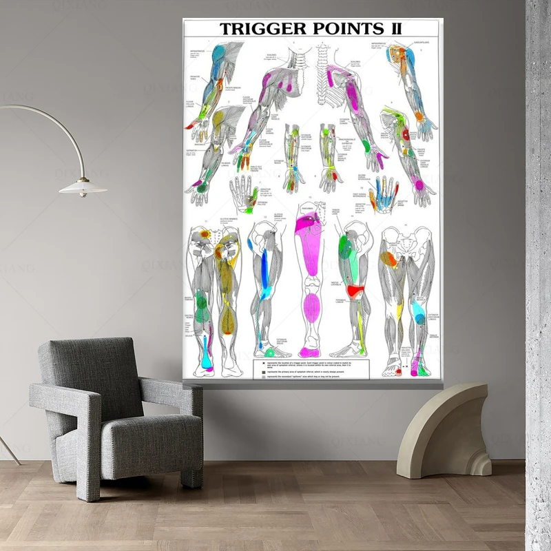 Художественные плакаты на холсте с изображением человеческого тела | Дом и сад