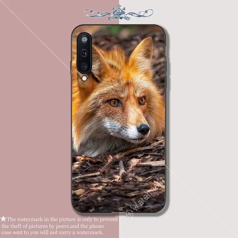 Роскошный чехол для телефона Motirunner Red Fox Samsung galaxy A 01 11 20 30 31 40 50 51 70 71 80 81 91