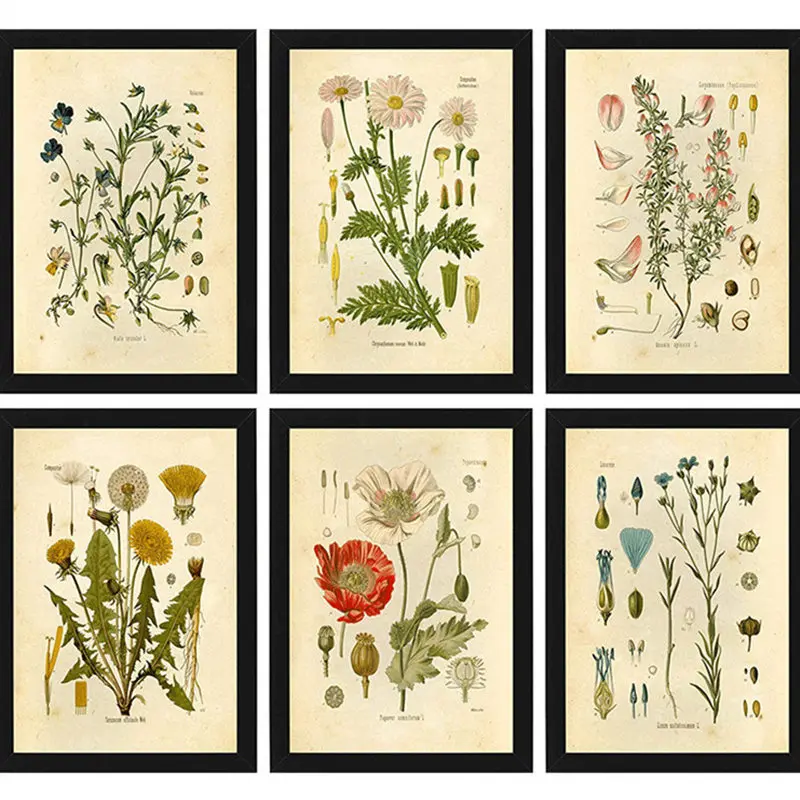 

Vintage Wild Plant Poster Peony Botanical Flower Canvas Painting Study Living Room Hanging Wall Art Picture Aesthetic Home Decor