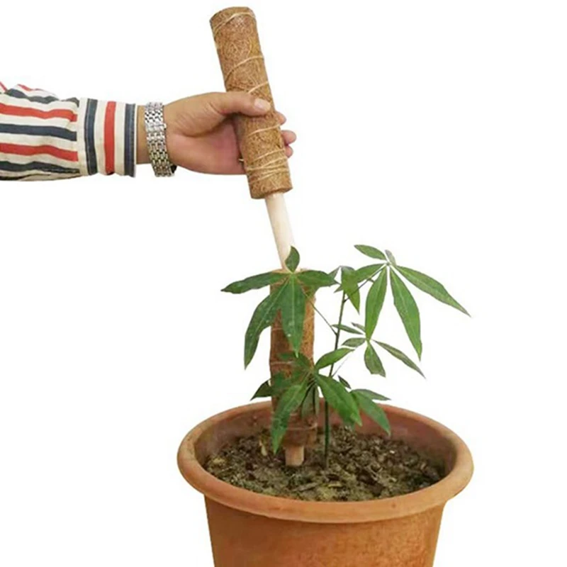 6 шт. удлинитель для альпинизма комнатных растений подставка палка Coir Moss Stick