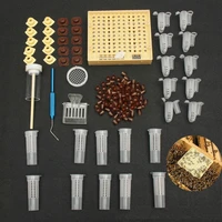 1set bee queen rearing king new plastic browngreen color cells cages room cups cell cage cup bees tools beekeepers kit