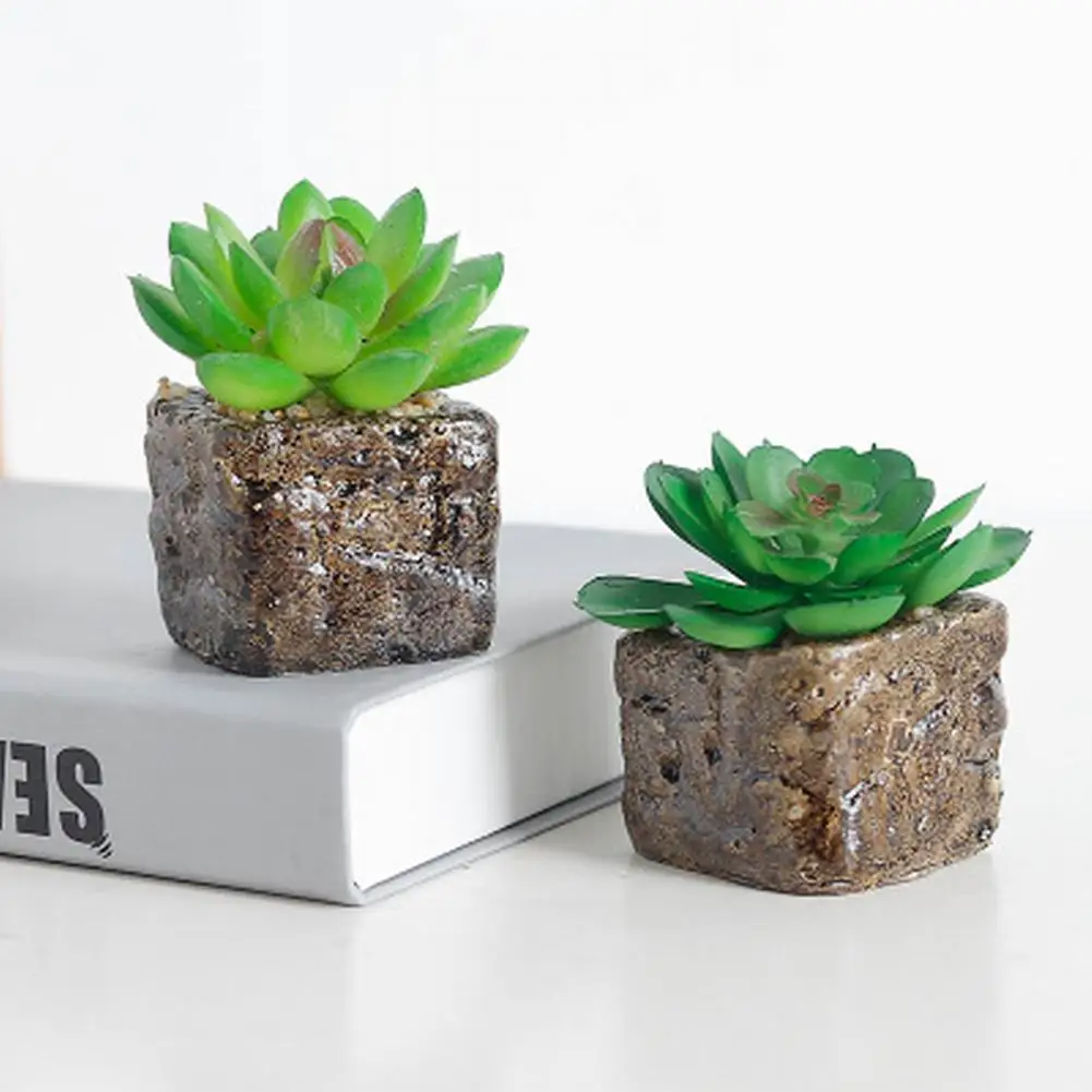 Миниатюрный Яркий кактус суккулент для дома искусственное растение бонсай с