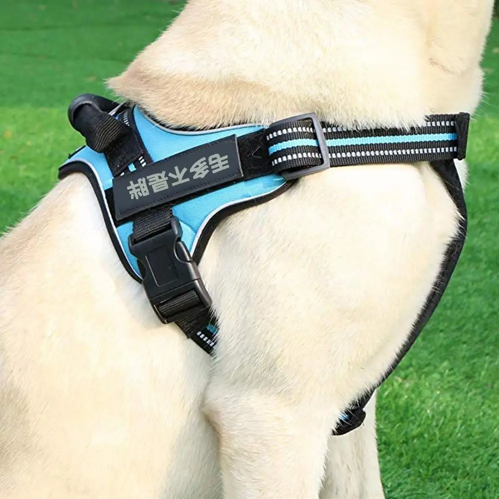 Поводок для питомца собаки Регулируемые мягкие дышащие поводок набор малых и