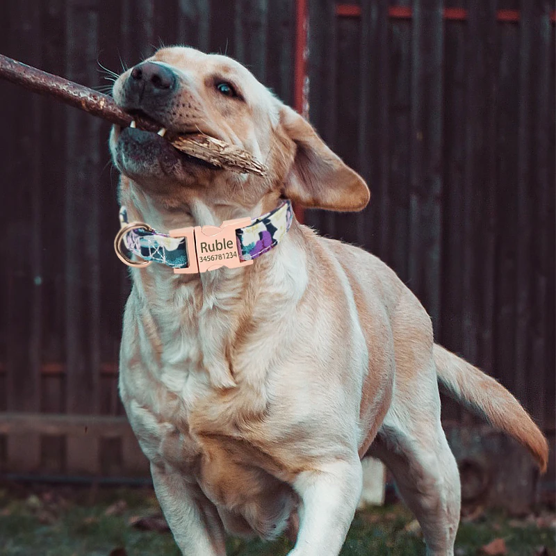 Именной нейлоновый ошейник для собак Регулируемая металлическая пряжка с