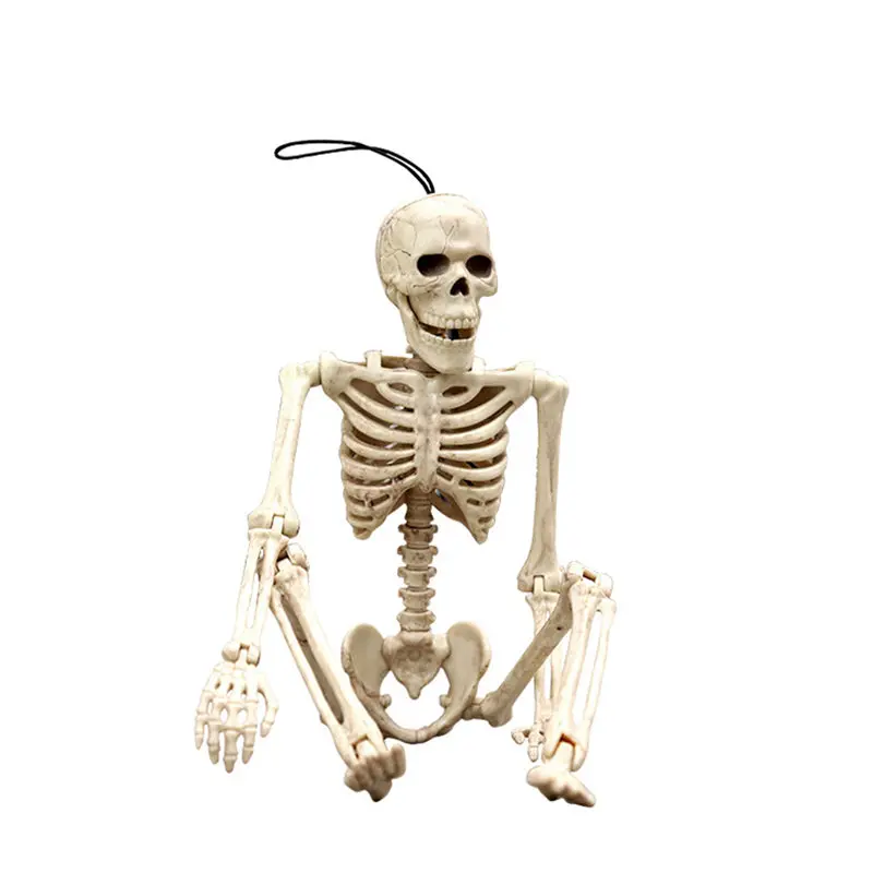 Poseable полный размер жизни человеческий скелет Декорации для хелоуин вечеринки