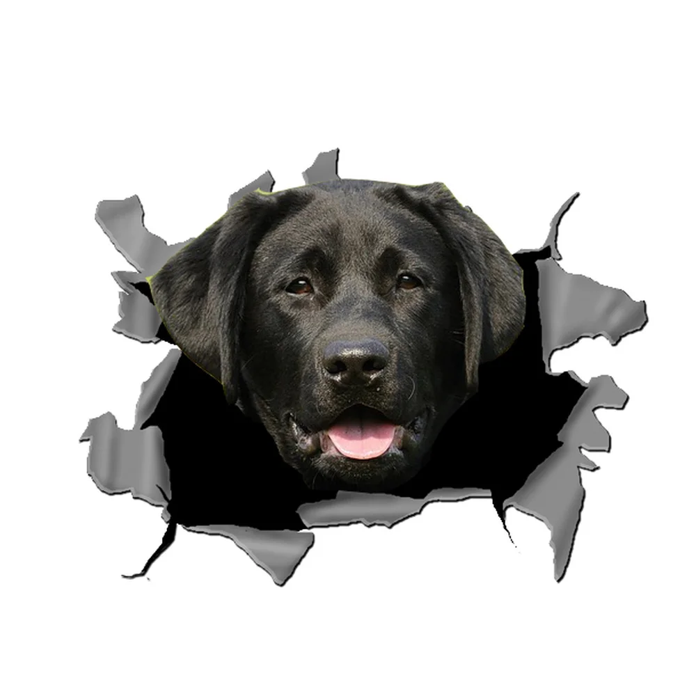 5x4 дюйма 3D фотообои черный лабрадор голова Лабрадора забавная для автомобиля