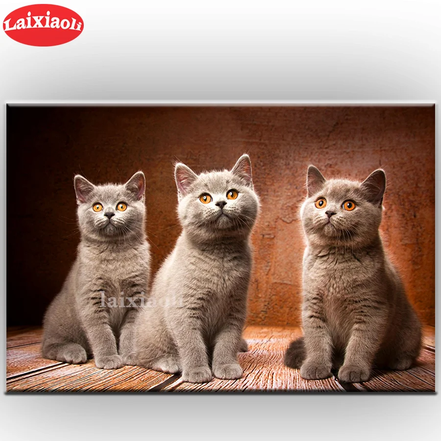 

Картина из страз "сделай сам", картина с изображением животных, картина из круглых страз, короткошерстная 5d, вышивка крестиком, мозаика, дома...