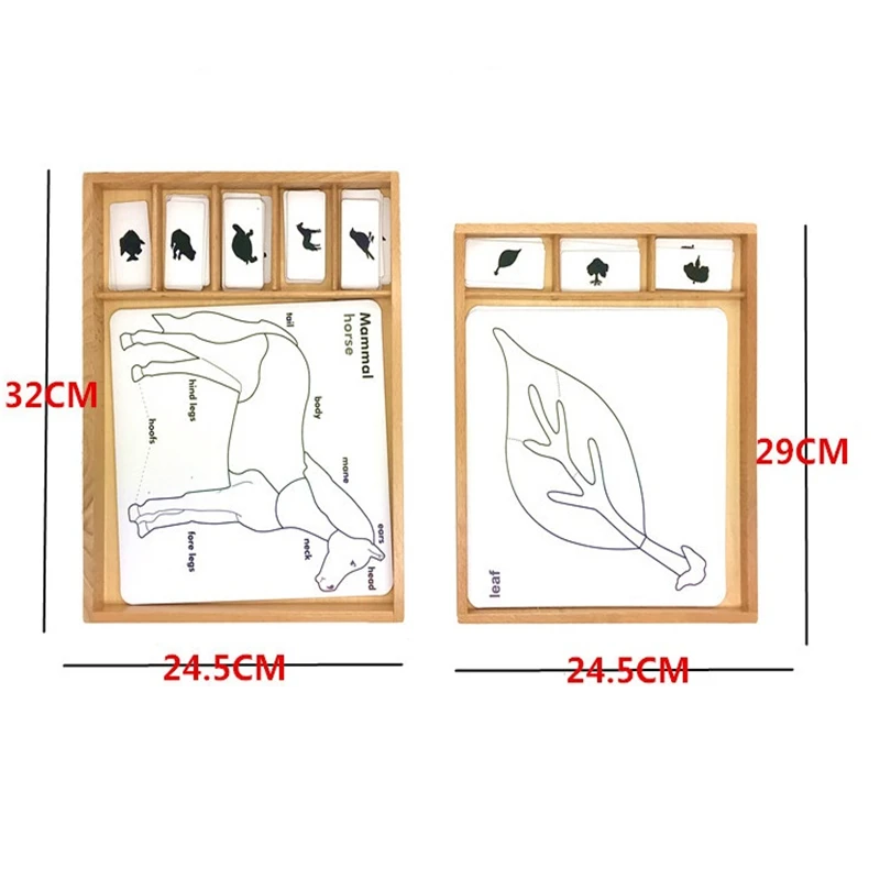 

Montessori Botany Puzzle Activity Set Montessori Animal Puzzle Activity Set Learning Toys for Toddlers