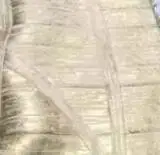 Золотой Новинка года знаменитостей моды короткий рукав серебро золото масло печати оптом HL Бандажное платье - Цвет: Золотой
