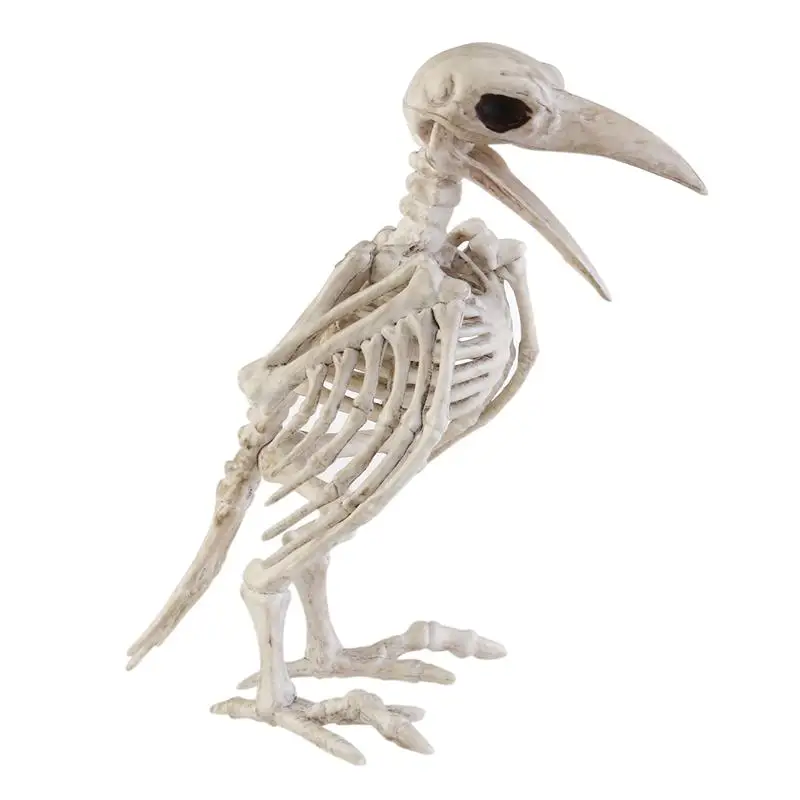 

Crazy Bone carketon ворон, пластиковые скелетоны для животных, Декорации для Хэллоуина, реквизит для ворона, украшение скелета