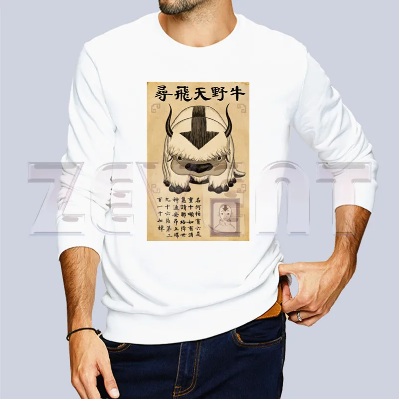 Аватар Последний Airbender толстовки с капюшоном для мальчиков и женщин классическая