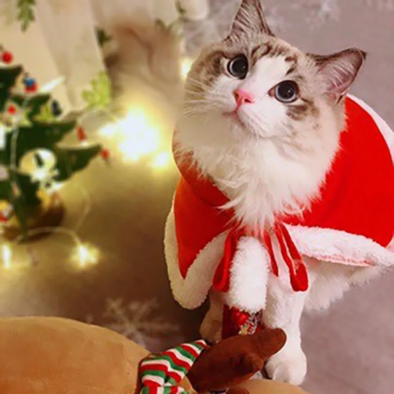 Костюм для домашних животных модные шали для кошек одноцветные шали для щенков для домашних животных собак кошек Рождественский фестиваль нарядная одежда