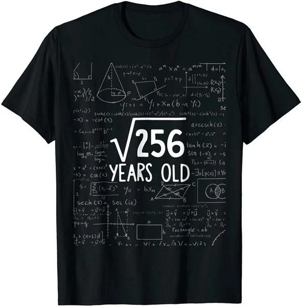 

Square Root of 256: 16th Birthday 16 Years Old T-Shirt Vintage Men Gift Tee