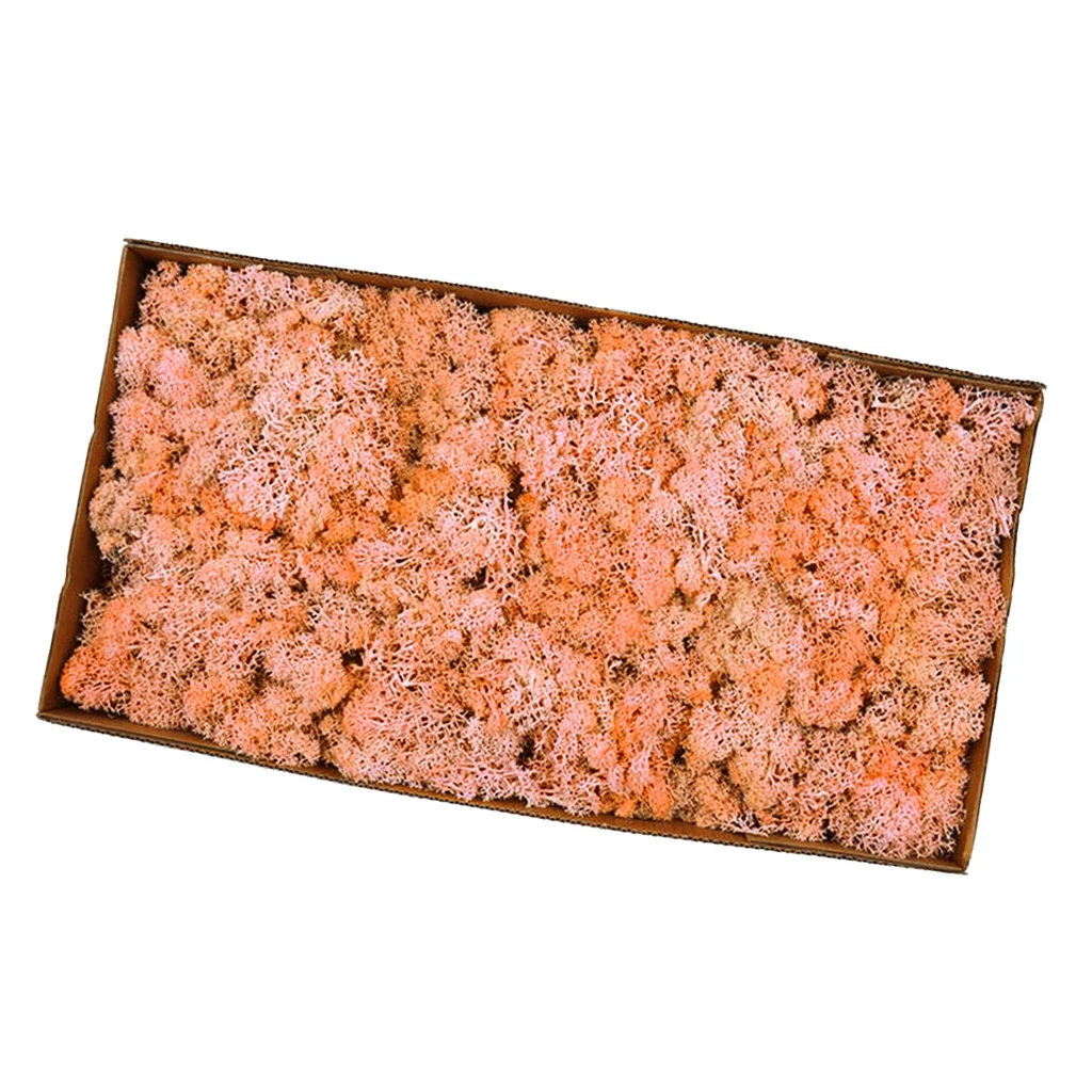 Orange 38x19x10cm Натуральный норвежский олень мох консервированный сушеные ремесла цветок для цветов Трава растения для дома и сада Гирлянда Свадебная вечеринка - Цвет: Orange 38x19x10cm