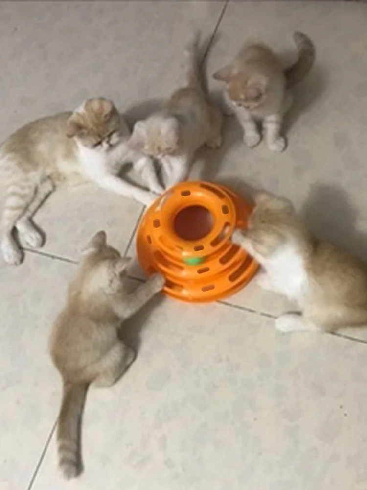 Там Слои Crazy диск с шариком кошка игрушки противоскользящая Интерактивная