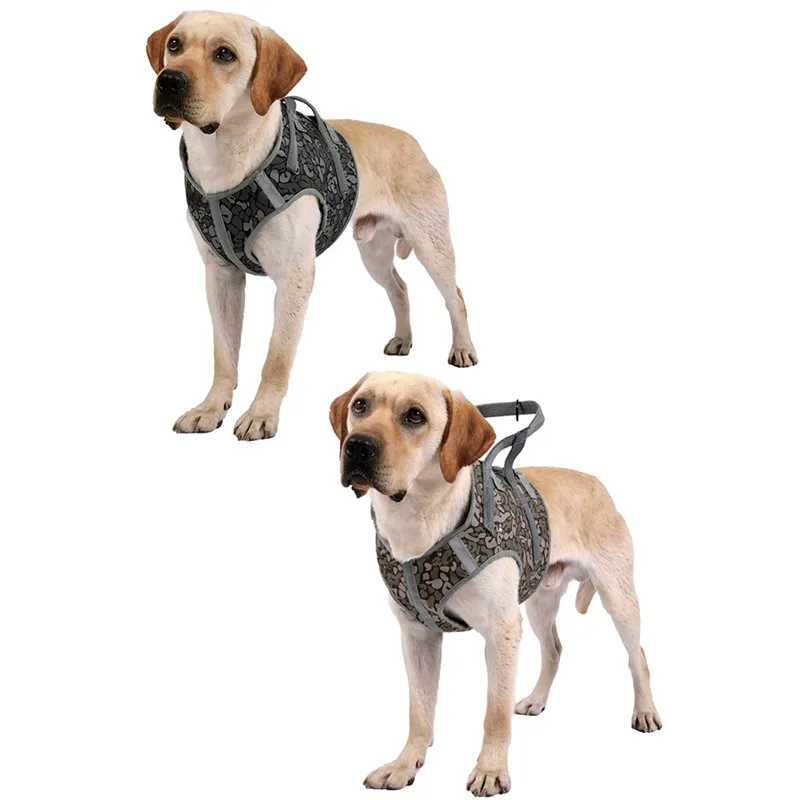 

2021 New Cute Dog Harness Explosion-Proof Chest Harness For Medium Large Puppy Chest Strap Chihuahua Bulldog Dog Accessories