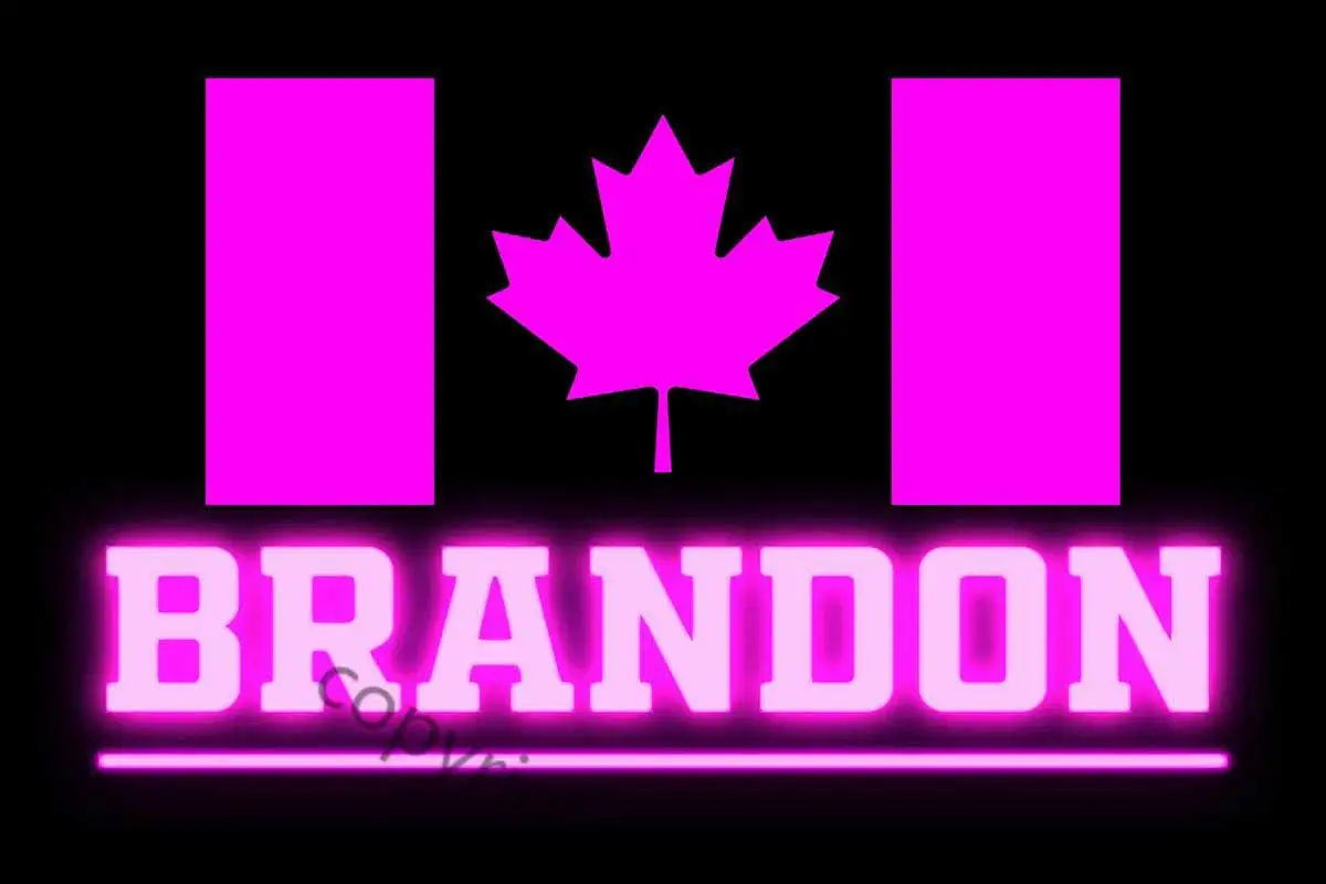 

Brandon Canada Neon Metal Sign Tin Sign Tin Plates Wall Decor Room Decoration Neon Sign For Pub Home Club Man Cave Cafe