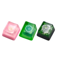 resin keycap oem profile r4 personality translucent key cap for mechanical keyboard