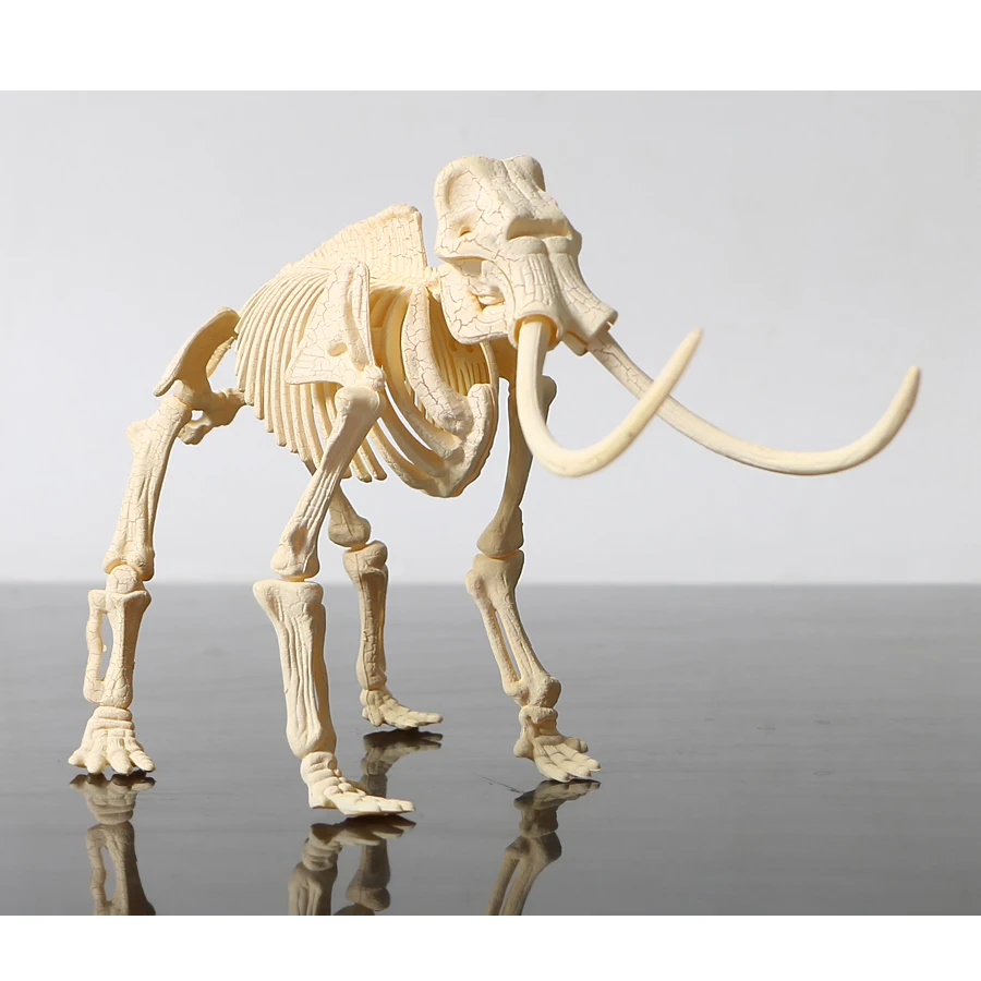 3D DIY динозавр Скелет собранные модели игрушки, 3d раскопки наборы для копания серии мини Трицератопс/Стегозавр/Велоцираптор головоломка игрушка - Цвет: Mammoth