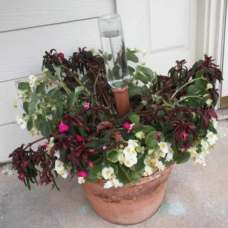 6 шт. пики для полива растений и цветов|Наборы полива| |