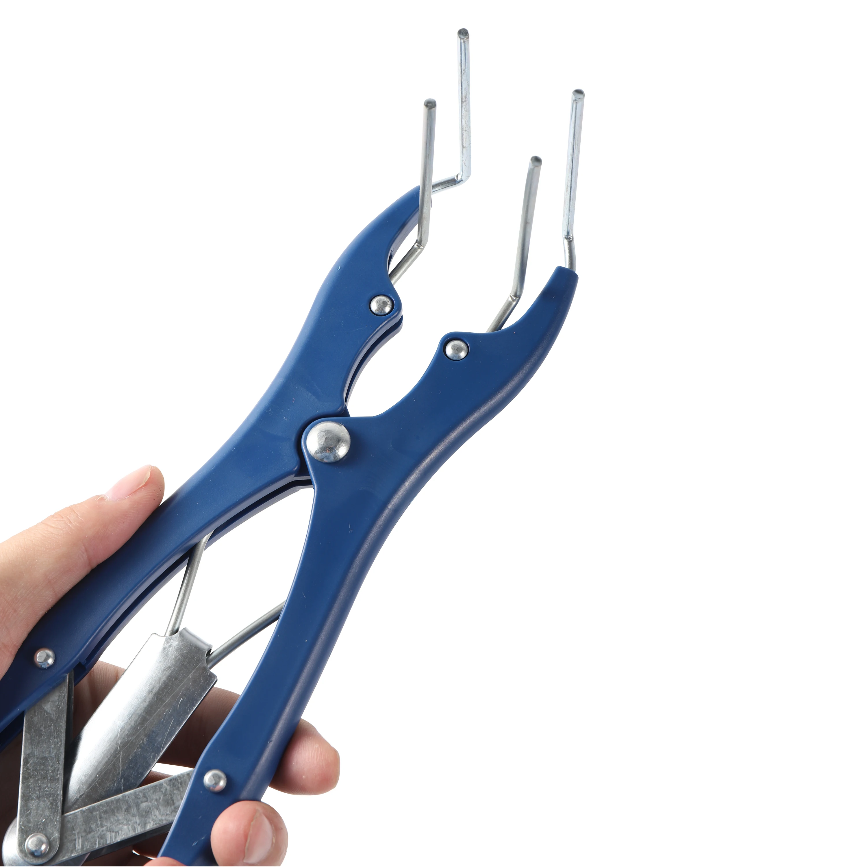 Плоскогубцы для кастрации свиней и овец 100 резиновых колец | Дом сад