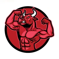 car stickers vinyl motorcycle decal car window body decorative creativity personality strong bull personality car stickers