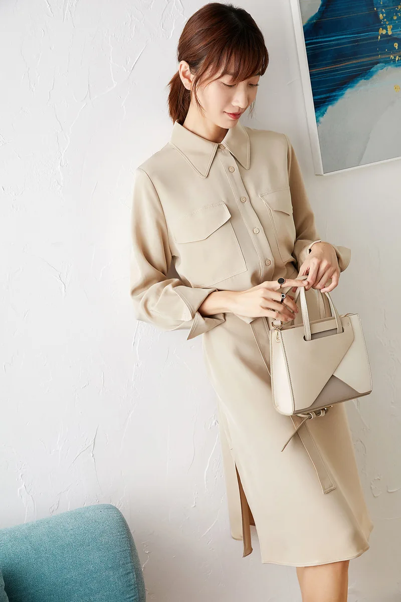 

Pure Color Commuter Mulberry Silk Shirt Long-sleeved Dress Women 2021 New Spring And Autumn Women's Clothing