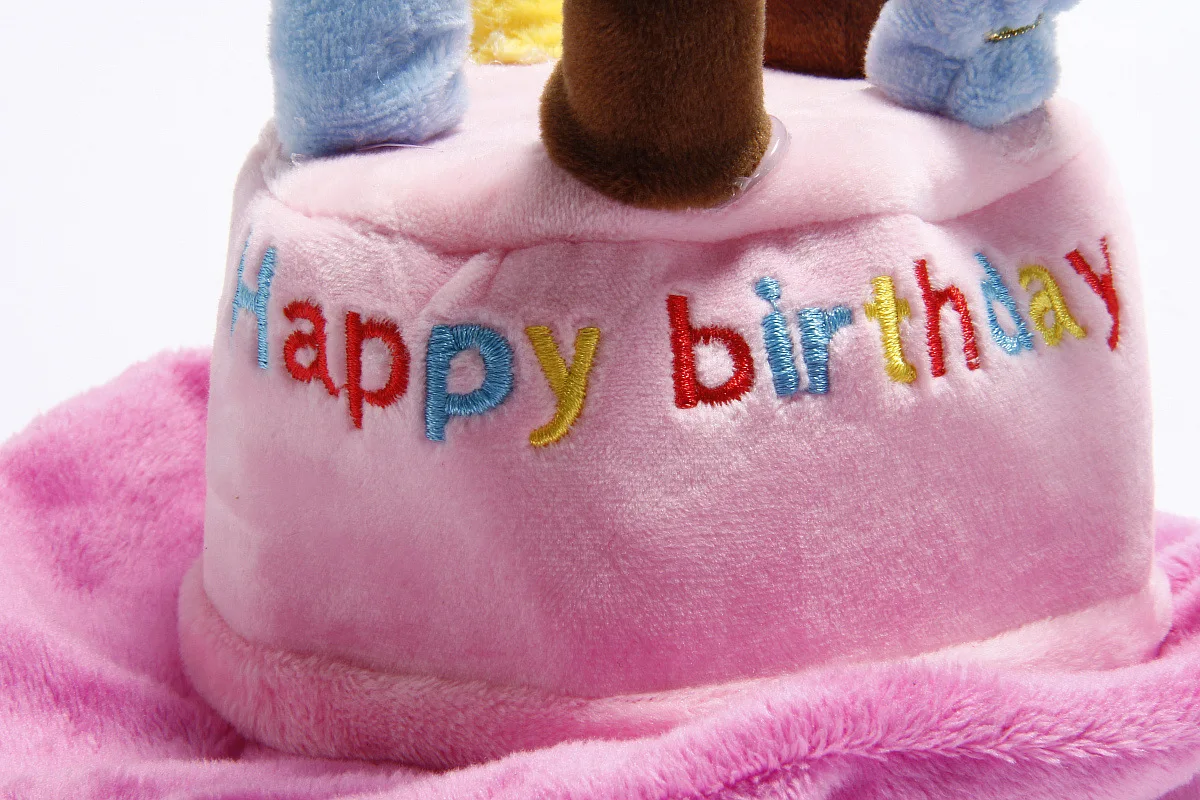 Шапочка для домашних собак на день рождения шапочка празднования дня розовый