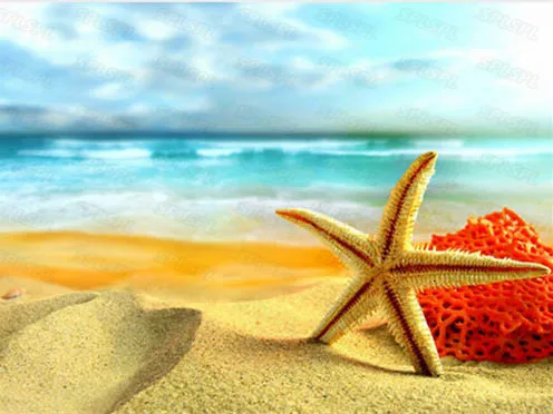 

Diy Diamond Painting Haughty White Swan Cute Little Tabby Cat Chinese Pastoral Cat Seaside Scenery Starfish Ship Poster