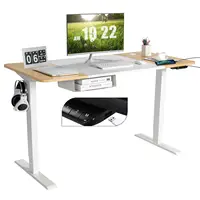 55”x28” Electric Standing Desk Adjustable Sit to Stand Table w/USB Port  JV10230US