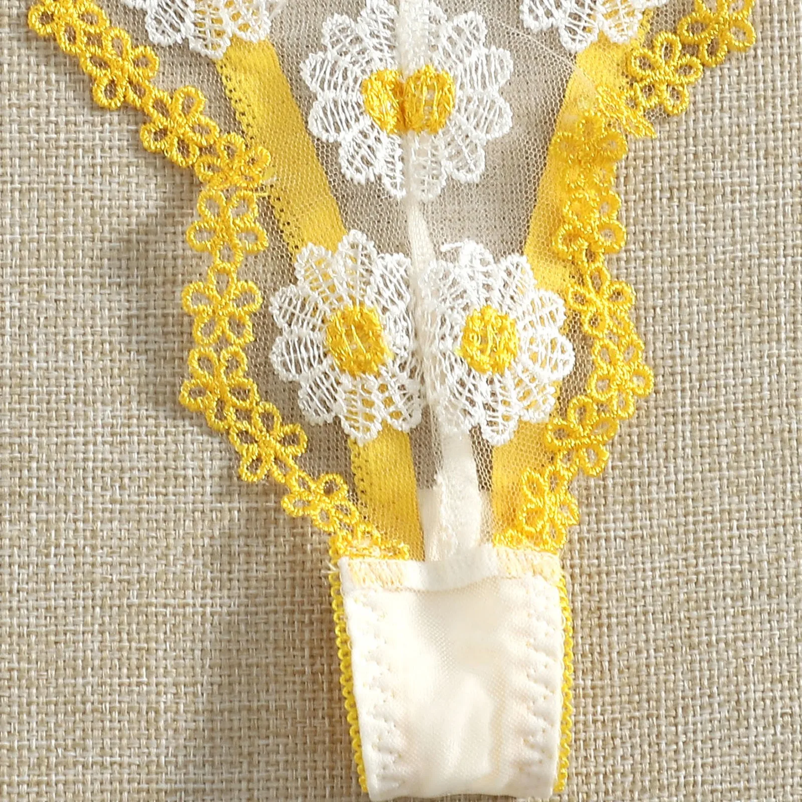 

Exquisite Floral Embroidery New Sexy Lace Bra and Thongs Set Underwear Transparent Bra Hollow Out Bandage Panties Women Lingerie