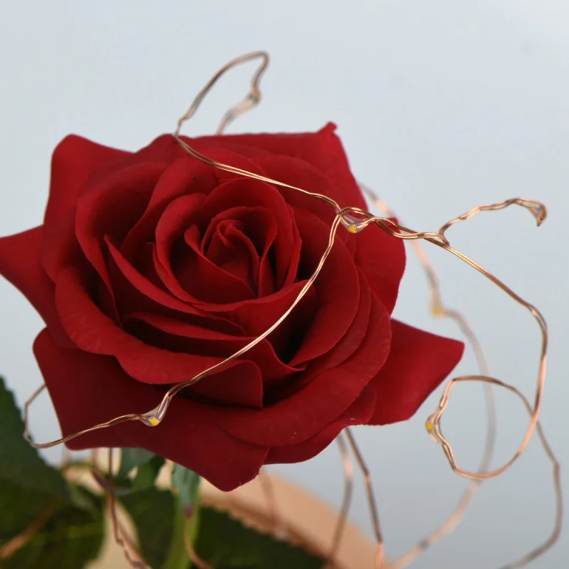 

Beauty and the Beast Rose Red Rose in a Glass Dome with A Wooden Base for Valentine's Gifts Wedding Anniversary Birthday