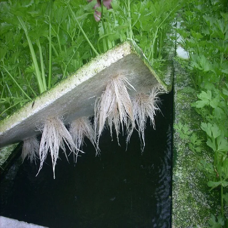 1 шт. 60*40 см пенопластовая доска Soilless культивационное оборудование в теплице плавающий плантатор с отверстиями для гидропонных овощей