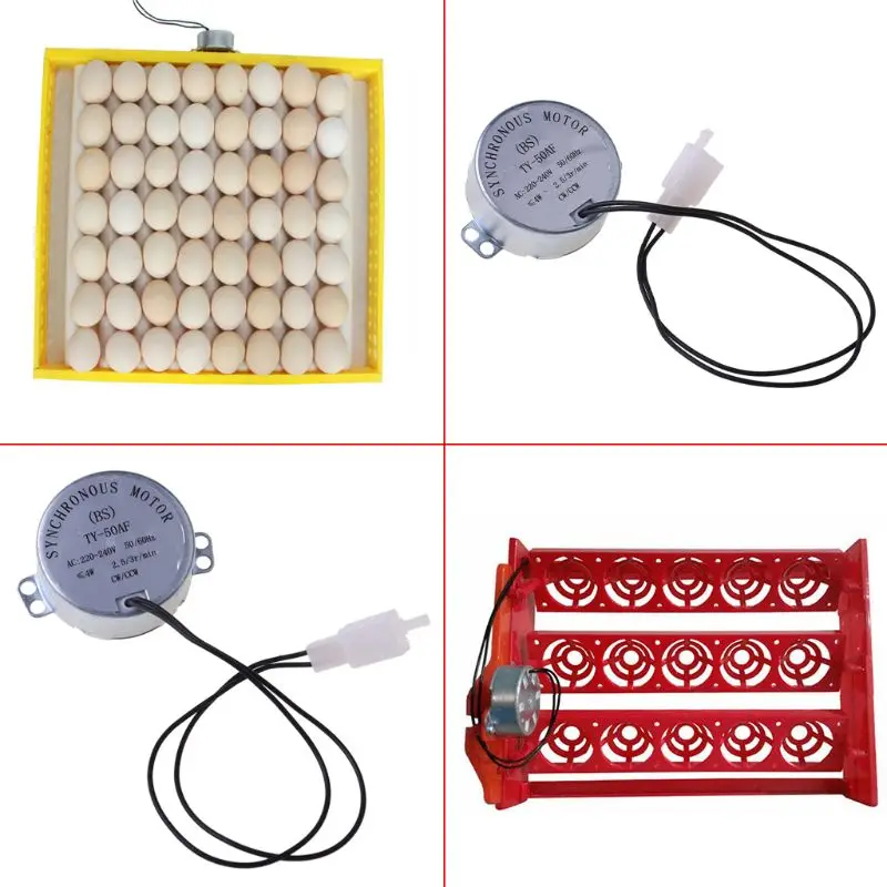 Детали двигателя для куриных яиц 220 В переменного тока | Строительство и ремонт