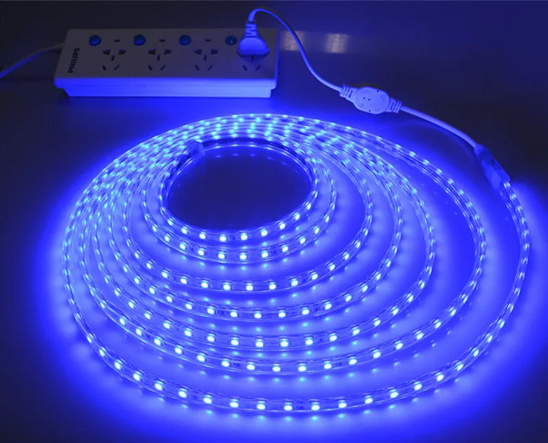 blue Светодиодная лента 220 В SMD 5050 RGB лента наружный водонепроницаемый гибкий неоновый светильник 2835 лампа для внутреннего декора светильник s tiras - Испускаемый цвет: blue