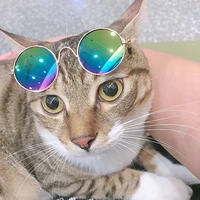 decorative glasses pet accessories sunglasses cat photo supplies cool personality small and medium sized dogs cat funny glasses