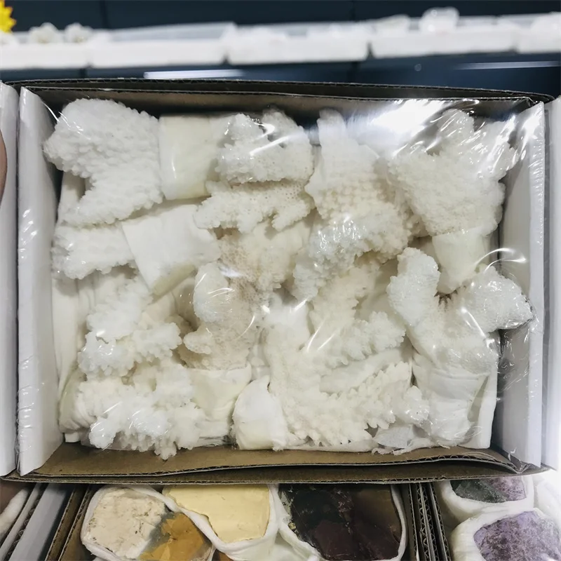 

Natural coral white coral gift box Box crystal tufted stone mineral specimen rough irregular decorative gift healing