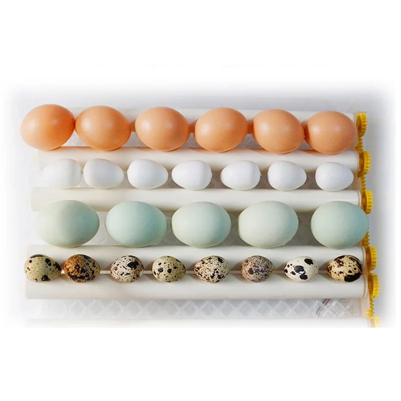 Инкубатор для яиц автоматический домашний инкубатор перепелов и гусиных |