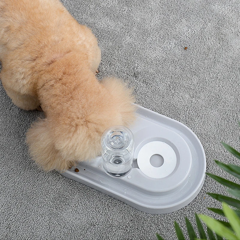 Двойная чаша для домашних животных автоматическая фоточаша кормления чаши из