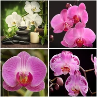 diy craft 5d diamond painting full round square resin mosaic embroidery cross stitch kits wall decor gift beautiful orchid