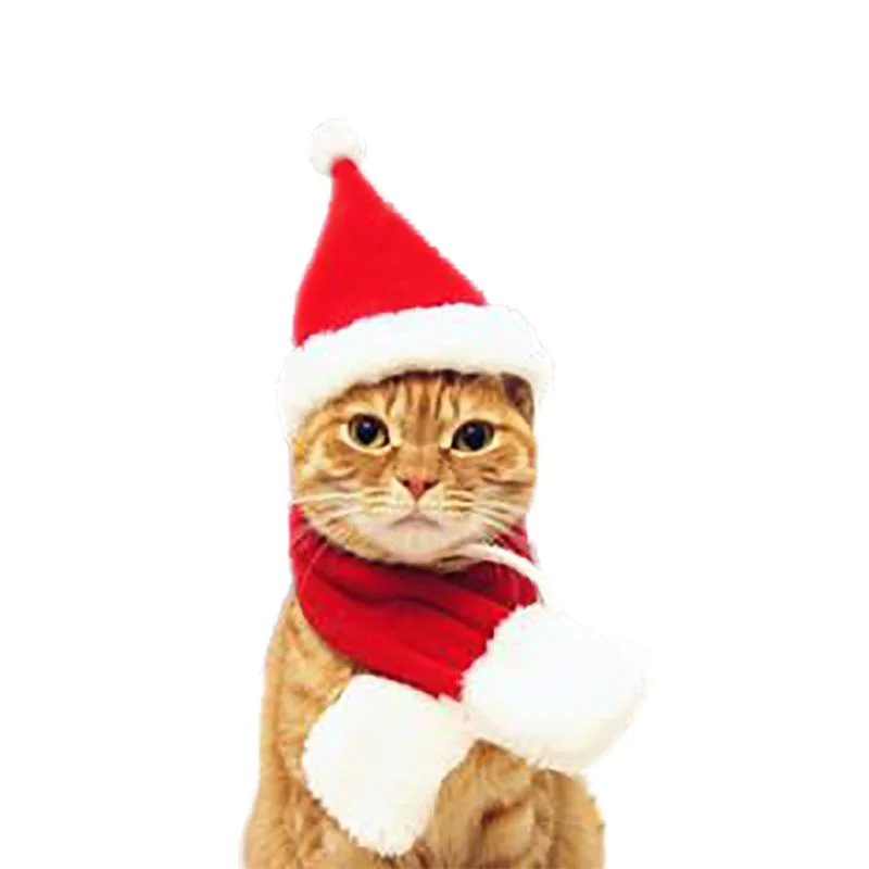 

Christmas Hat and Scarf Set Pets Xmas Collar For Puppy Cat Dogs New Year Gift Red Costume Clothes Santa Hats Dog Bandana