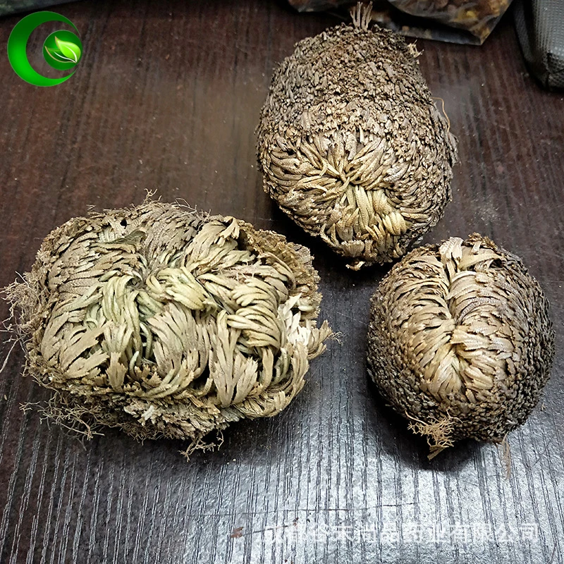 Сушеный цветок Fu Huo Cao волшебное восстанавливающее растение Роза динозавра