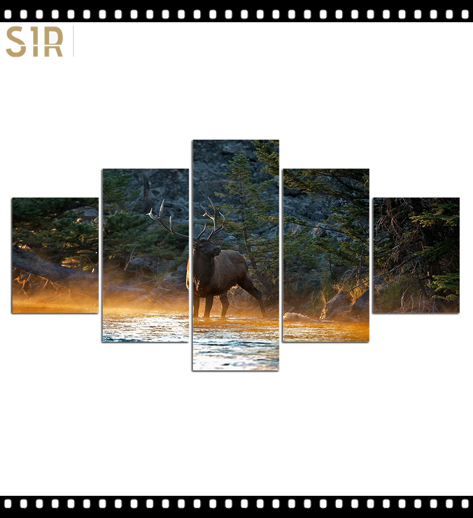 

HD 5 Pieces Deer Elk Animal Pictures Posters Wall Art Home Decor for Living Room Painting on The Wall Deer Elk Pictures Wall Art