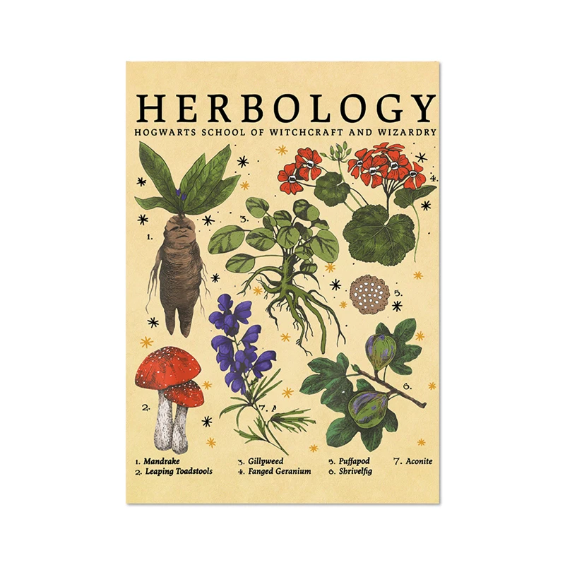 Волшебное растение, принты на холсте, классический постер с фильмом, Гарри, фанат, художественная иллюстрация, живопись, Мандрак, настенные панно, декор для детской комнаты