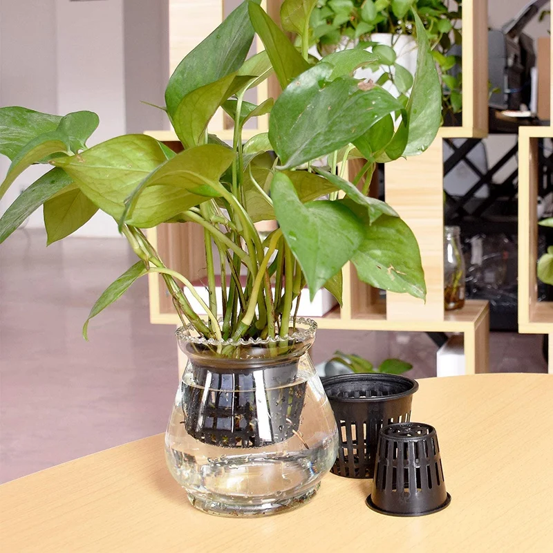 

100 Pack 2 Inch 3 Inch Net Cups Garden Slotted Mesh Net Pots Wide Lip Design for Hydroponics