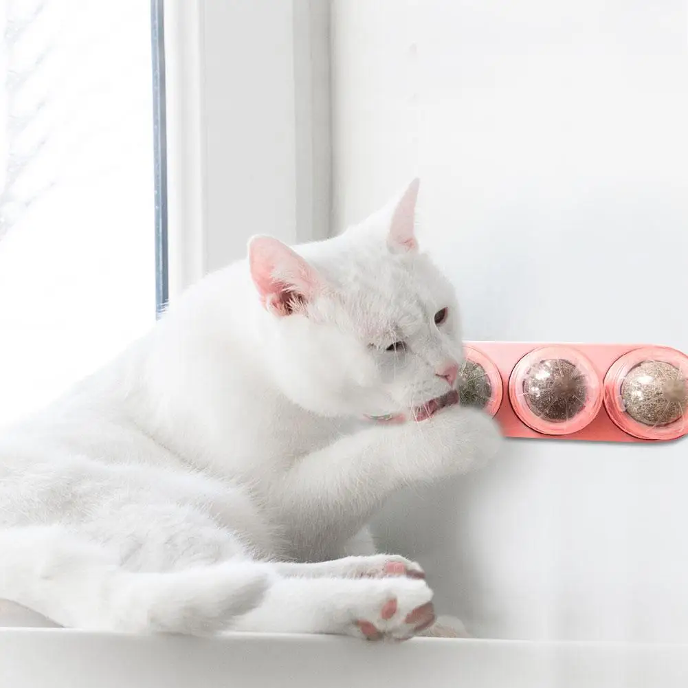 Игрушки для домашних питомцев мята кошек безопасные мяты товары дома