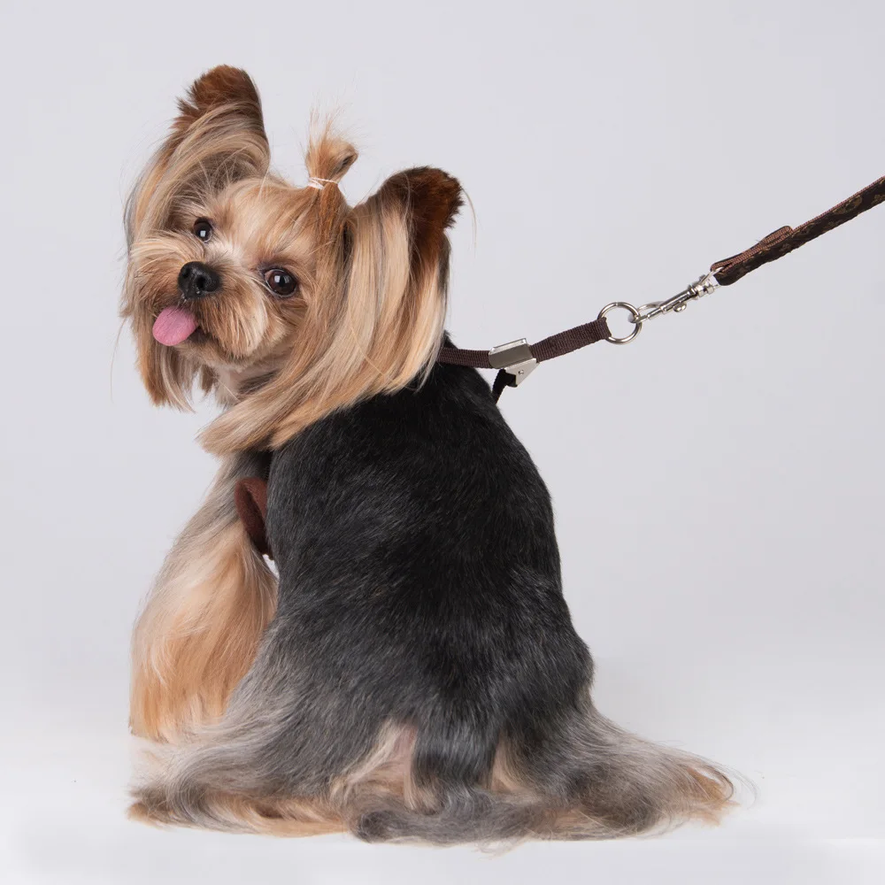 

Dog Harness and Leash Set Designer Accessories French Bulldog Schnauzer Corgi Chihuahua Medium Small